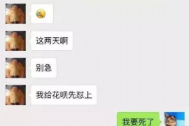 金湖为什么选择专业追讨公司来处理您的债务纠纷？